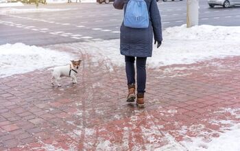 Is Rock Salt Toxic to Dogs?