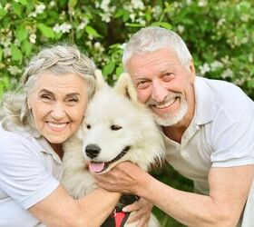new study shows surprising effect of pet ownership on seniors, Ruslan Huzau Shutterstock