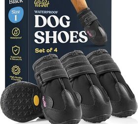 does my dog need winter boots