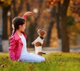 Study Finds Link Between Having a Dog and Girls' Physical Activity