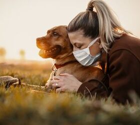 humans are getting their pets sick here s what you need to know, MT R Shutterstock