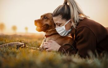 Humans Are Getting Their Pets Sick – Here's What You Need To Know