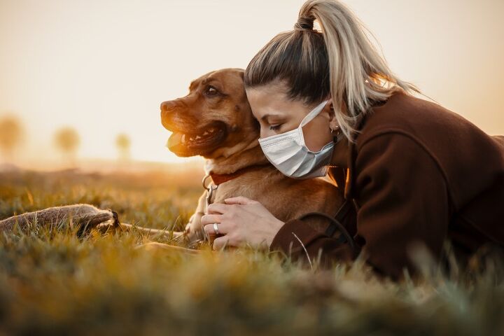 humans are getting their pets sick here s what you need to know, MT R Shutterstock
