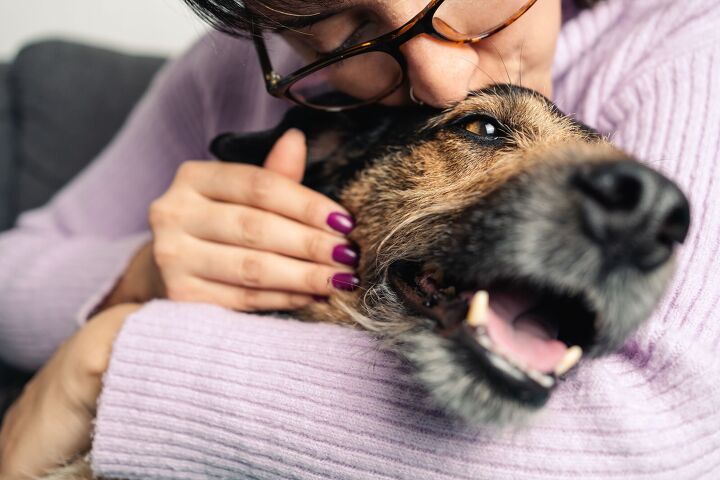 senior leaves 2 8 million estate to pets not kids, Photo Credit Ripio Shutterstock com