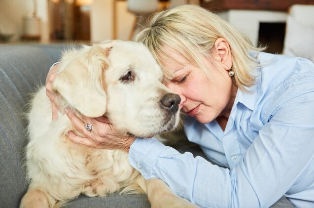 do dogs experience grief, Photo credit Robert Kneschke Shutterstock com