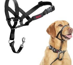 Dog muzzle to stop eating poop best sale