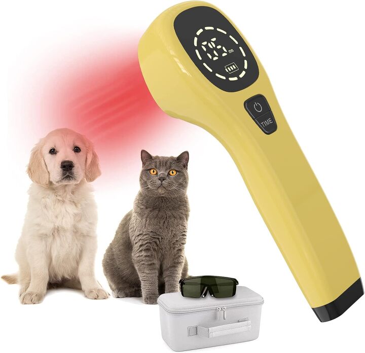 what is red light therapy for dogs