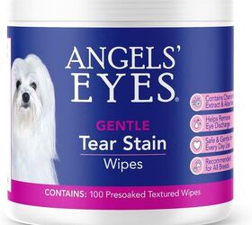 do dogs cry tears