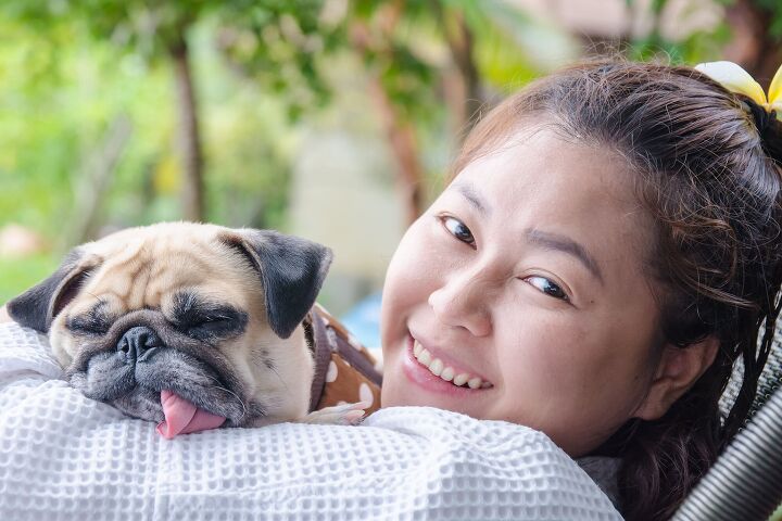 are you a hugger some dogs prefer you back off, Photo Credit fongleon356 Shutterstock cm