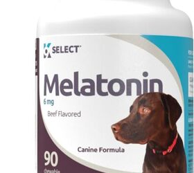 is melatonin safe for dogs