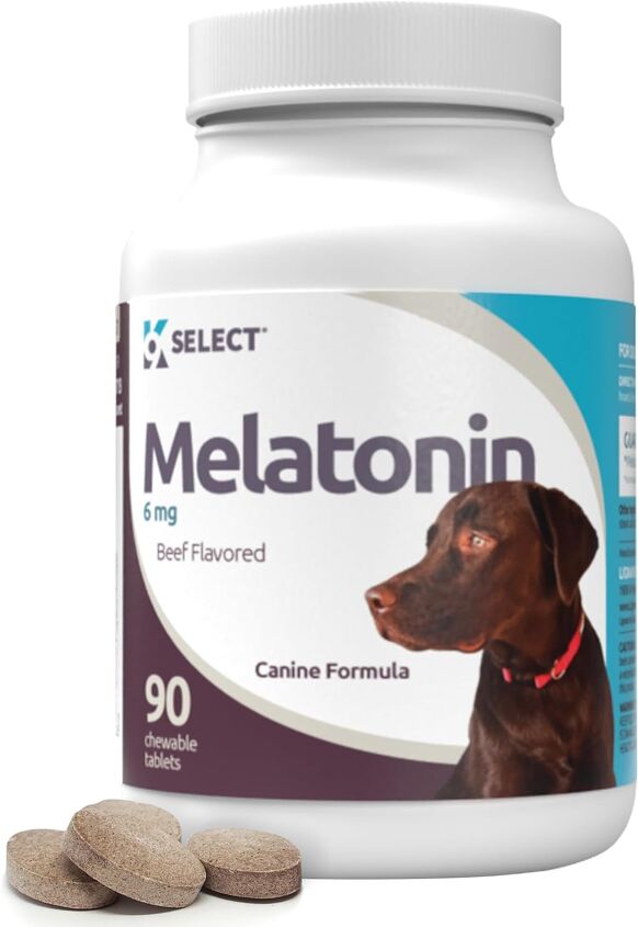 A closer look at Can Dogs Get Too Much Melatonin