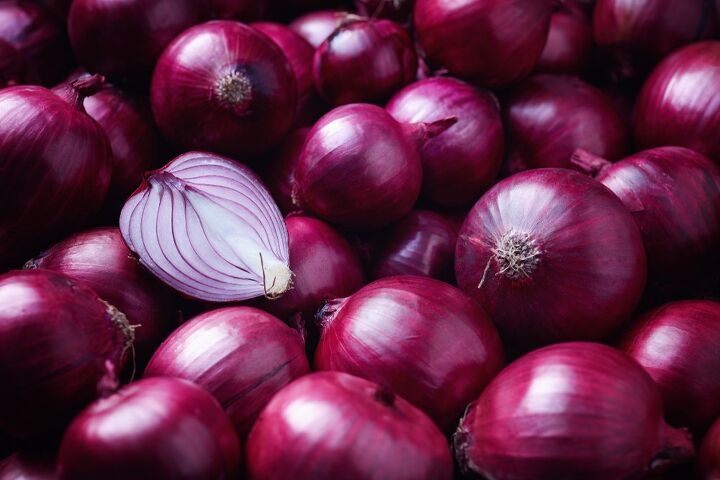10 foods that are bad for dogs, Onions