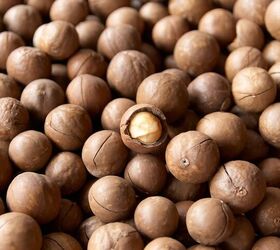 10 foods that are bad for dogs, Macadamia Nuts