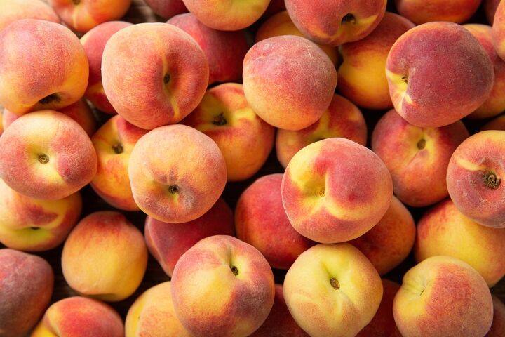 10 foods that are bad for dogs, Peaches Plums and Persimmons