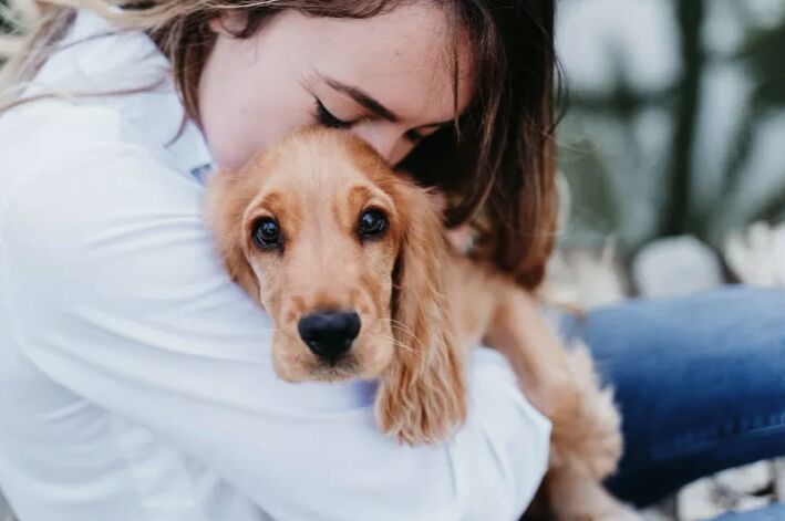 top 10 clingy dog breeds, Cocker Spaniel
