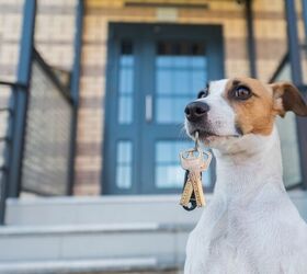 New Bill Will Eliminate Housing Barriers for Pet Owners In California