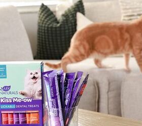 Give Your Cat a Purr-fect Treat