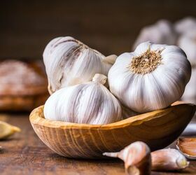 top 10 flea and tick prevention tips, Garlic