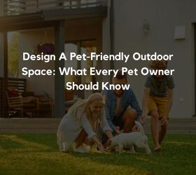 design a pet friendly outdoor space what every pet owner should know