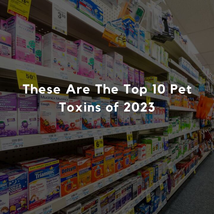 These Are The Top 10 Pet Toxins of 2023