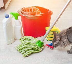 these are the top 10 pet toxins of 2023, Household products