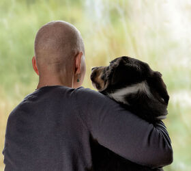 terminally ill man s last wish is to find a new home for his dog, Gerald Mercier Shutterstock