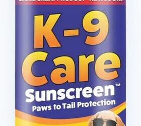 can dogs get a sunburn
