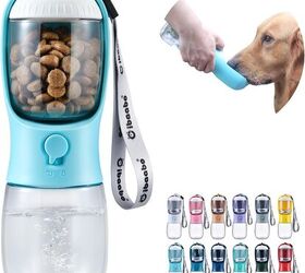 What Diseases Can Dogs Get From Water? PetGuide