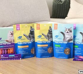 Using Innovative Cat Treats To Help Keep Your Pet’s Teeth Clean