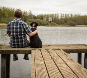 when to say goodbye to your dog a new survey sheds some light, Daz Stock Shutterstock