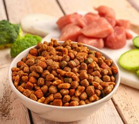 two pet food recall spark fear of bacterial infections, Pixel Shot Shutterstock