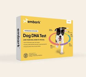 embark discover your dog s dna story