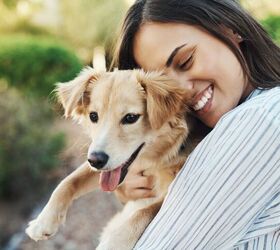 Interacting with Dogs Affects Your Brain, Mood, and Focus