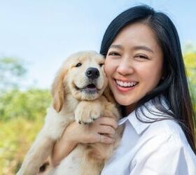 Can I Get a Dog or Cat if I Have Allergies?