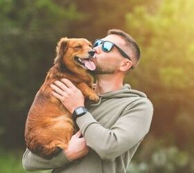 non profit brings together veterans and rescue dogs, Photo credit Creative Cat Studio Shutterstock com