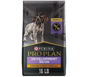 elevate your pet s wellbeing with purina pro plan innovative nutrition