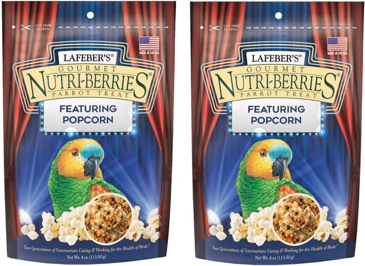 Can You Potty Train A Parrot PetGuide can-you-potty-train-a-parrot-petguide