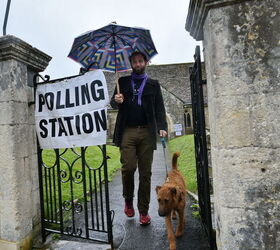 Pets Take Center Stage When Its Time to Vote