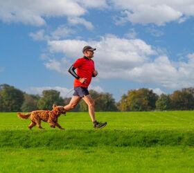 how much exercise does my dog need, Photo credit Clare Louise Jackson Shutterstock com