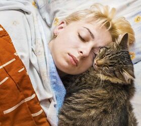 is it ok to let my cat sleep in my bed, masik0553 Shutterstock