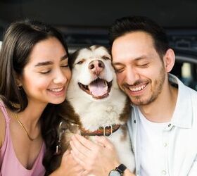 Poll Finds That Pets Provide Mental Health Benefits