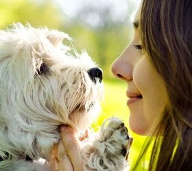 new research claims that you can connect your brain with your pets, Roman Gorielov Shutterstock