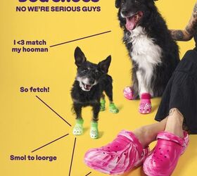 crocs for pets are now a thing you can get a matching pair too, CROX Via PR Newswire