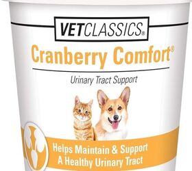 cranberry juice for your cat s uti maybe there s something better