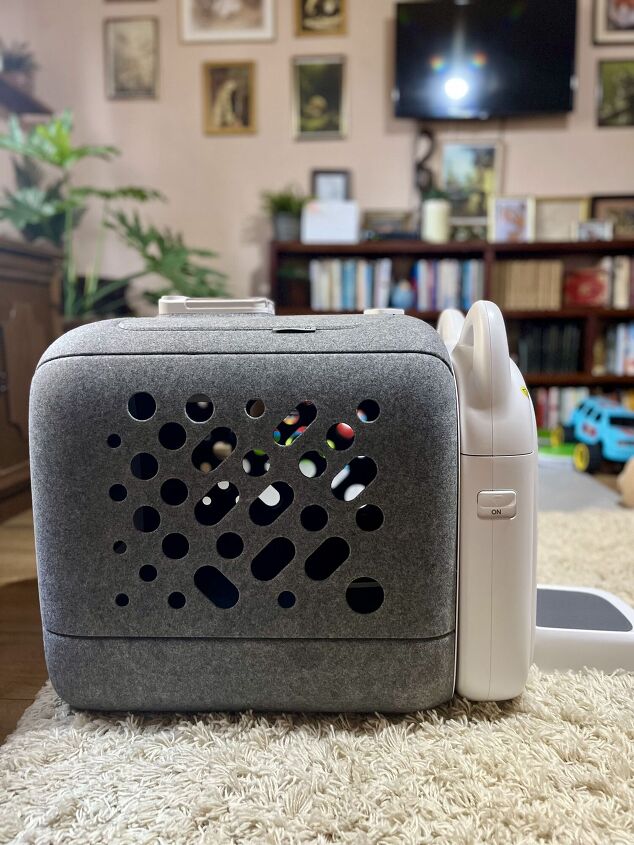 paw swing hands free grooming experience your cat will actually love, Credit Angela Vuckovic PetGuide com paw swing hands free grooming experience your cat will actually love, Credit Angela Vuckovic PetGuide com