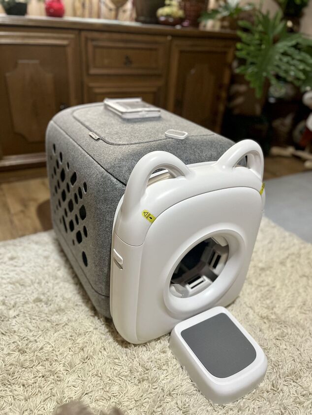 paw swing hands free grooming experience your cat will actually love, Credit Angela Vuckovic PetGuide com paw swing hands free grooming experience your cat will actually love, Credit Angela Vuckovic PetGuide com