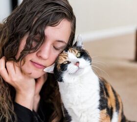 why does my cat rub against me, Photo credit Kristi Blokhin Shutterstock com