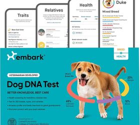 what can you learn from a pet dna test