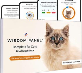 what can you learn from a pet dna test