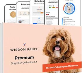 what can you learn from a pet dna test